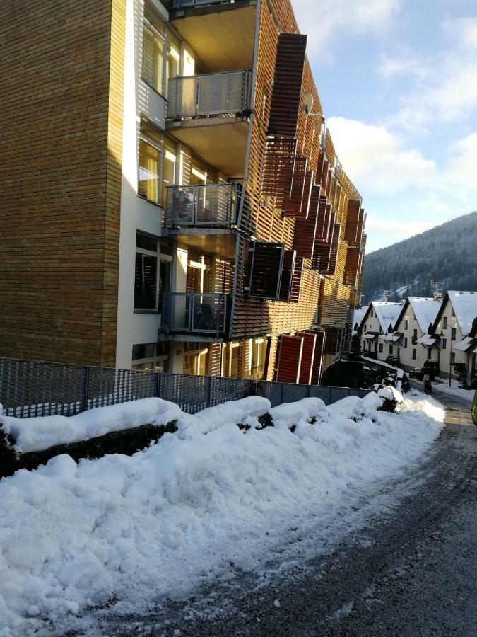 Apartment Rodinny 606