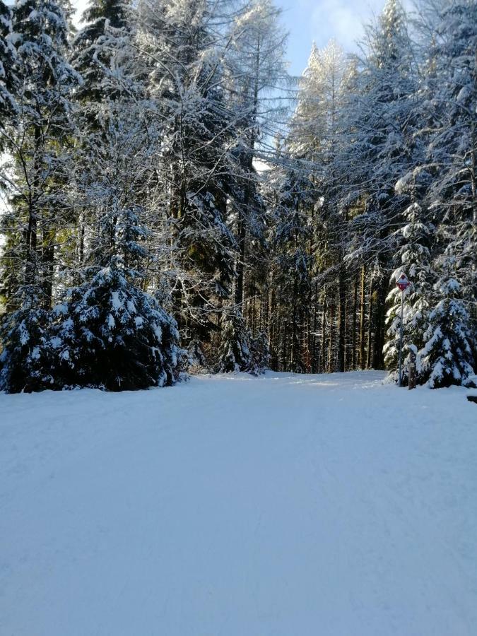 Rodinny 606 * Harrachov